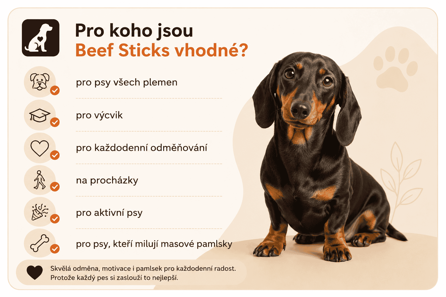 Beef Sticks pro štěstí každého psa